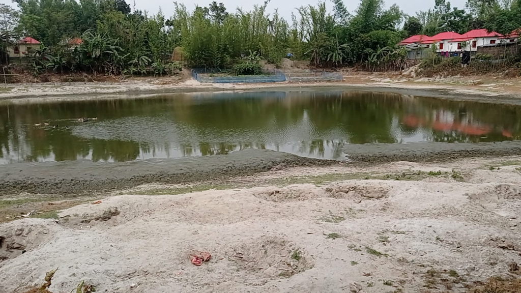 রাণীশংকৈলে ওয়ার্ড বিএনপি নেতাদের পুকুর দখলের পাঁয়তারা