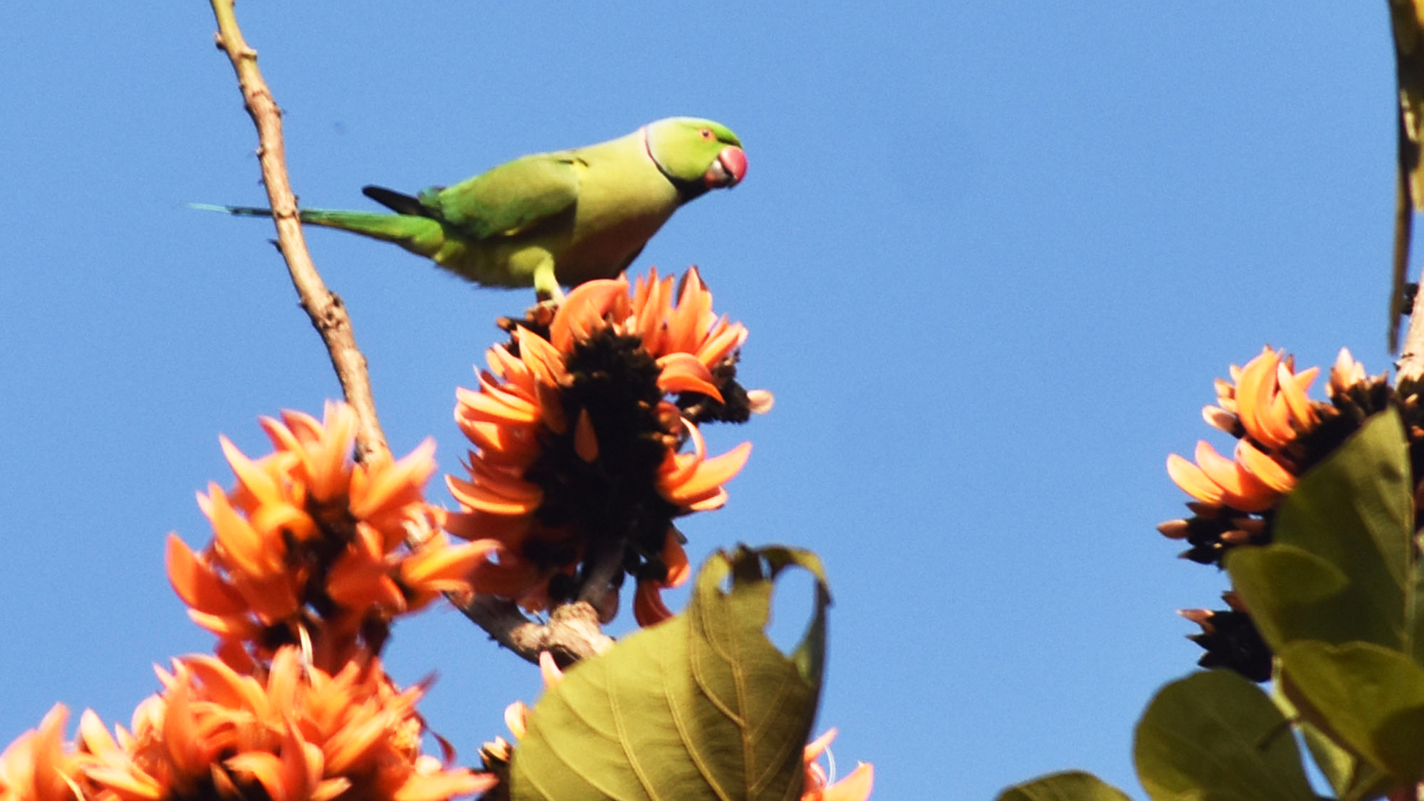 দিনের ছবি (১৪ ফেব্রুয়ারি ২০২৬)