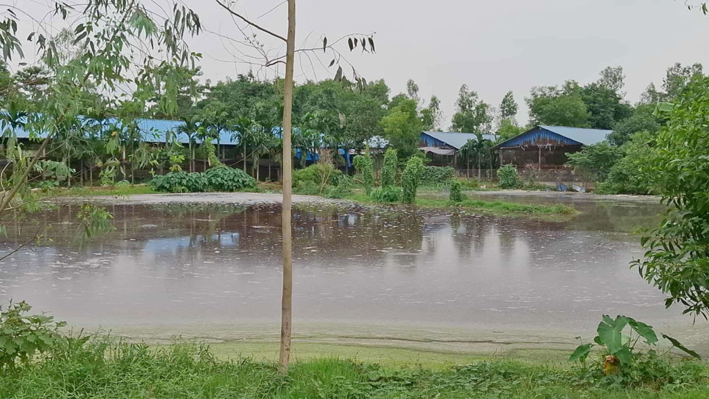 পোলট্রি বর্জ্যে অতিষ্ঠ জনজীবন, ক্ষুব্ধ এলাকাবাসী
