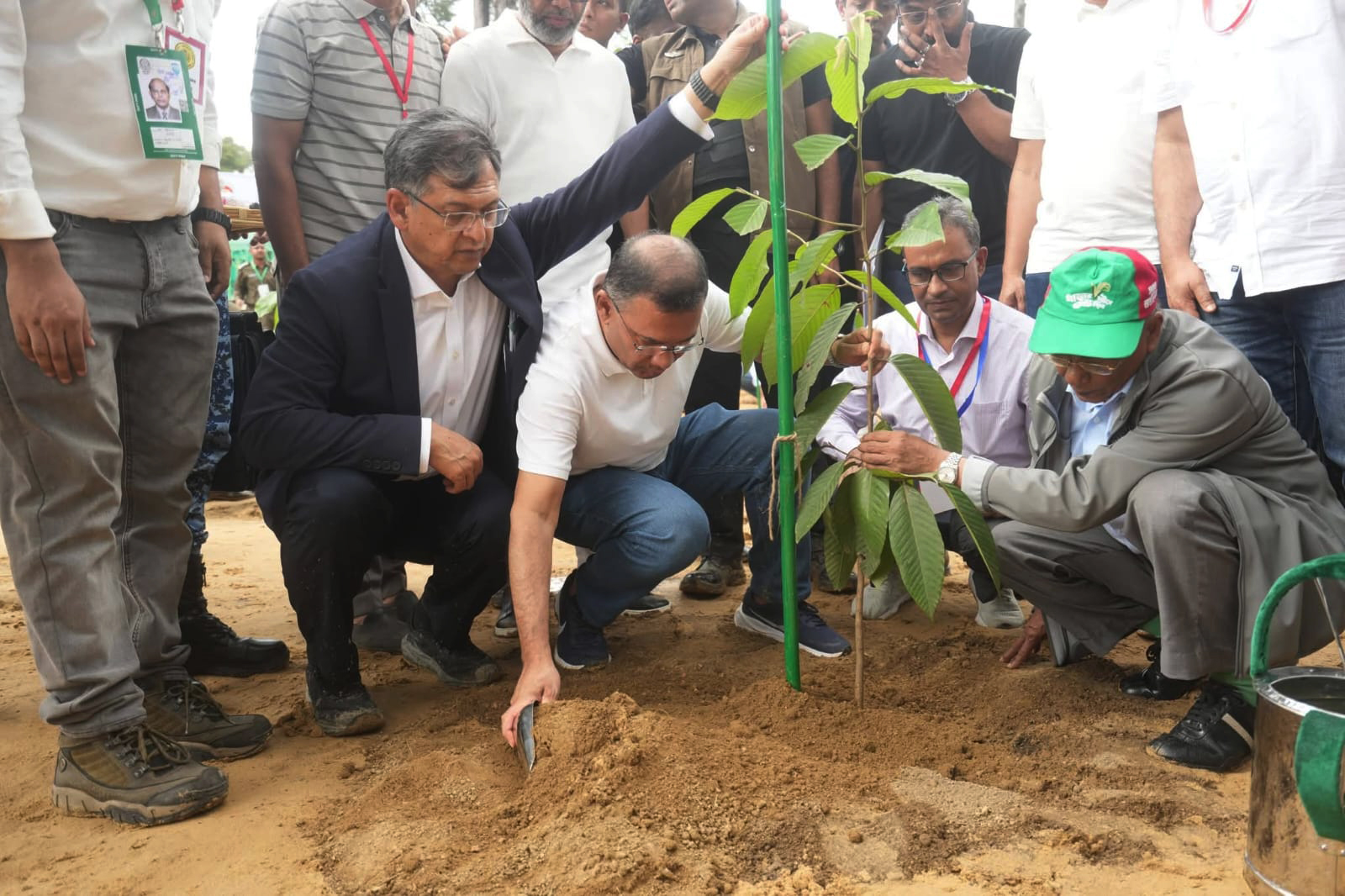 সারা দেশে ২৫ কোটি বৃক্ষরোপণ কর্মসূচি উদ্বোধন প্রধানমন্ত্রীর