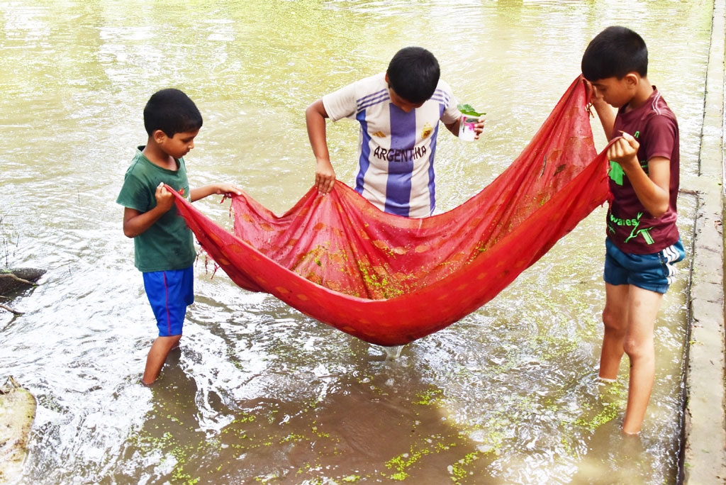 বৃষ্টির পানি জমে আছে বাড়ির পাশের আম বাগানে। সেই পানিতে কাপড় দিয়ে মাছ ধরছে শিশুরা। ছবিটি রাজশাহীর পবা উপজেলার হরিয়ান ইউনিয়ন থেকে তোলা। ছবি: মিলন শেখ।