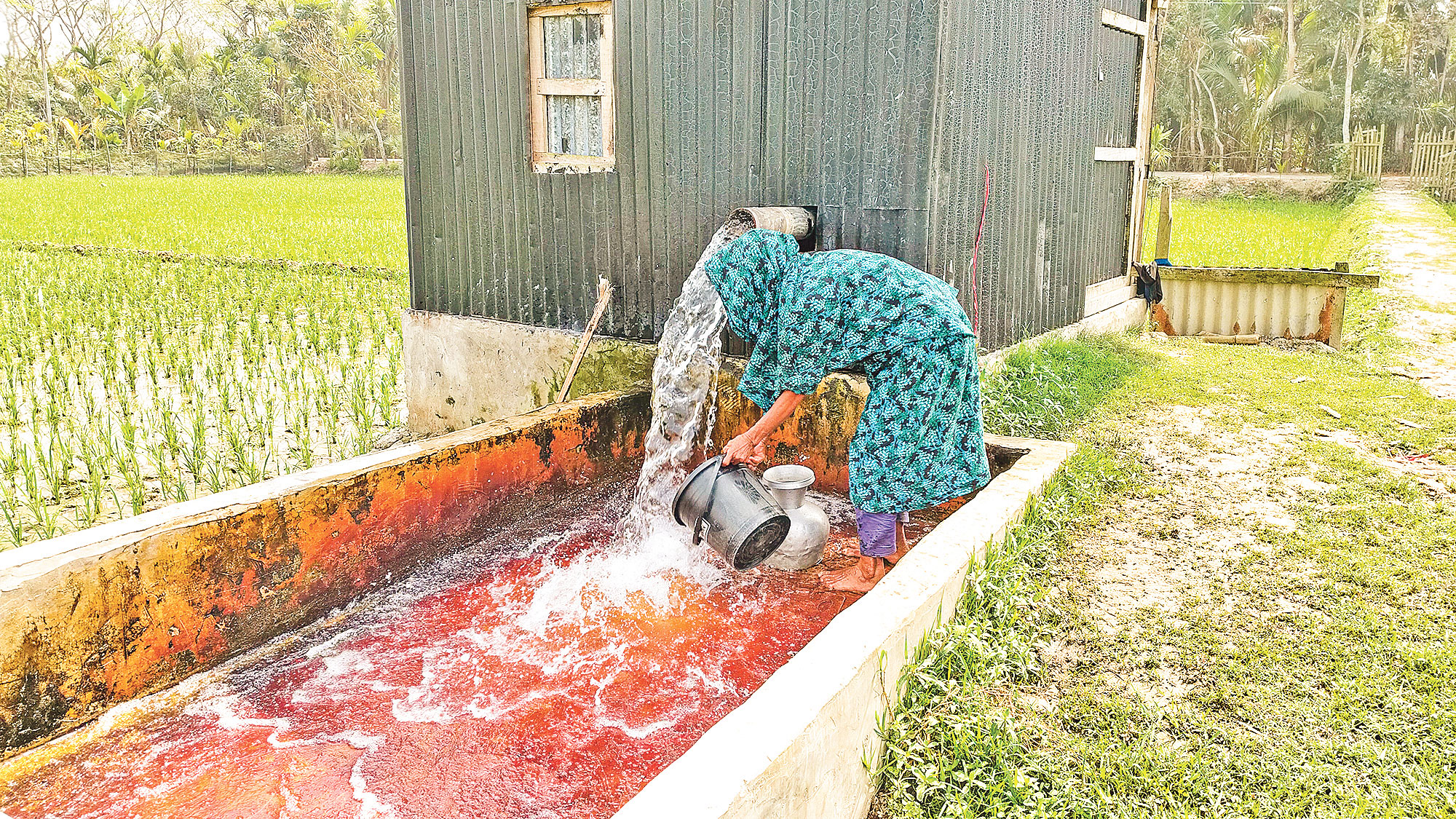 ভোলার চরফ্যাশন: সেচের টানে খাবার পানিশূন্য নলকূপ