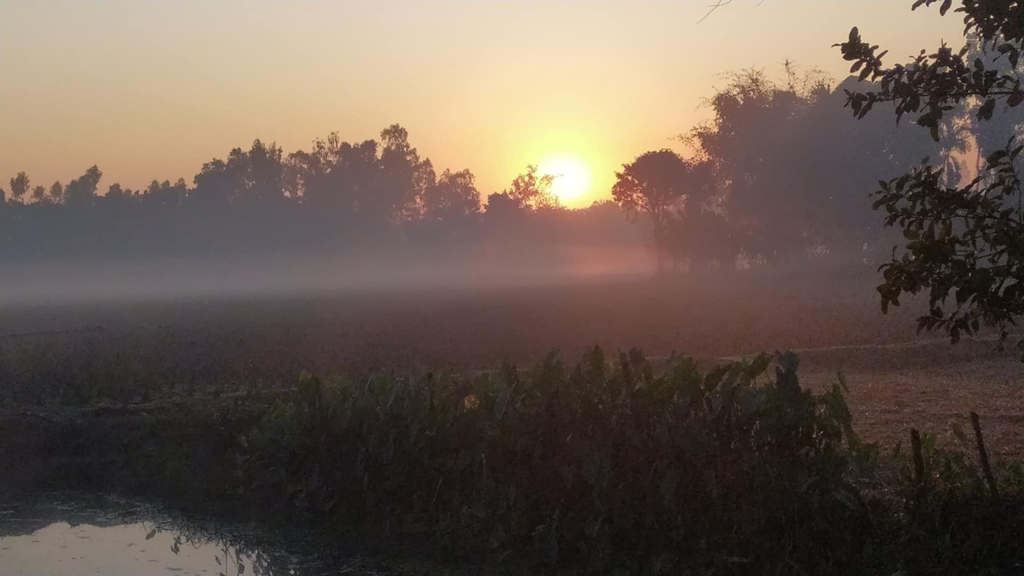 পঞ্চগড়ে আট দিন ধরে মৃদু শৈত্যপ্রবাহ: রাতে কনকনে শীত, দিনে ঝলমলে রোদ