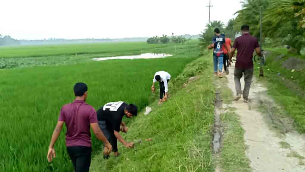 বজ্রপাত রোধে তাল বীজ বপন করল ‘আলোকিত কালীগঞ্জ’