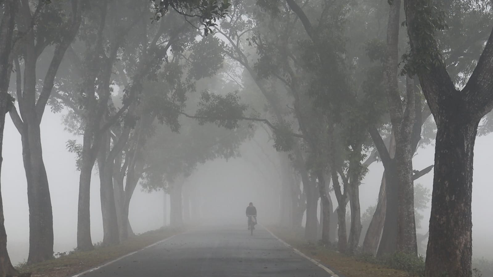 ঘন কুয়াশা ও কনকনে শীতে বিপর্যস্ত পঞ্চগড়, বাড়ছে শীতজনিত রোগী