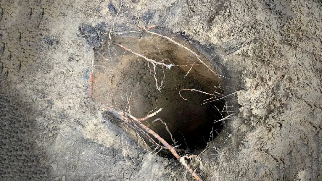 ৫ ফুট উচ্চতার সুড়ঙ্গ খুঁড়ে বেলারুশ থেকে পোল্যান্ডে ১৮০ অভিবাসী, চাঞ্চল্যকর ভিডিও প্রকাশ