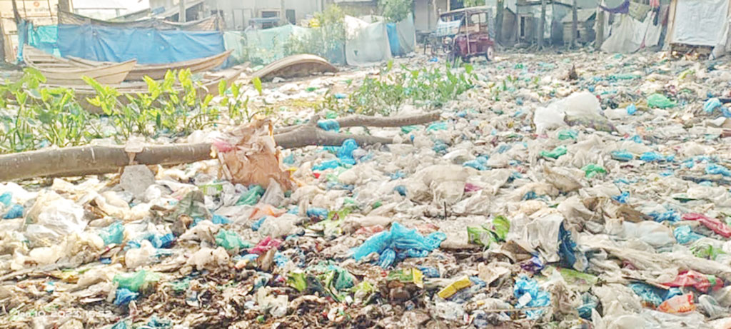 প্লাস্টিকের আগ্রাসনে বিপন্ন পায়রা বিষখালী বলেশ্বর
