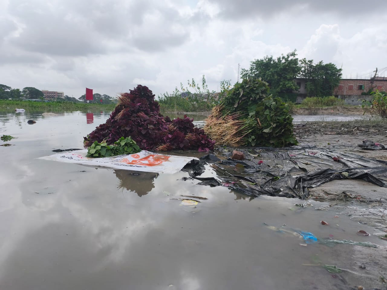 মানববর্জ্য ও রাসায়নিক দূষিত পানিতে ধোয়া শাকসবজি যাচ্ছে হাটে বাজারে