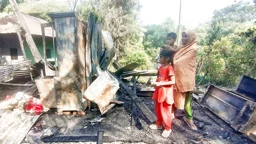 ফরিদগঞ্জে আগুনে পুড়ে ছাই নতুন ঘর, দুই সন্তান নিয়ে খোলা আকাশের নিচে পপি