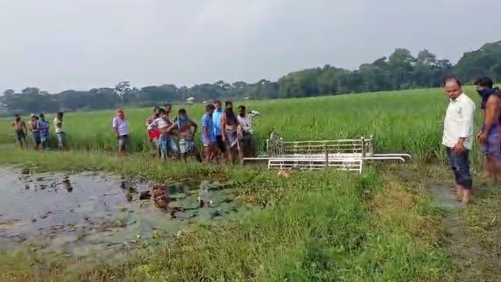 ঘাস কাটতে বেরিয়ে নিখোঁজ কৃষক, ধানখেতে মিলল লাশ