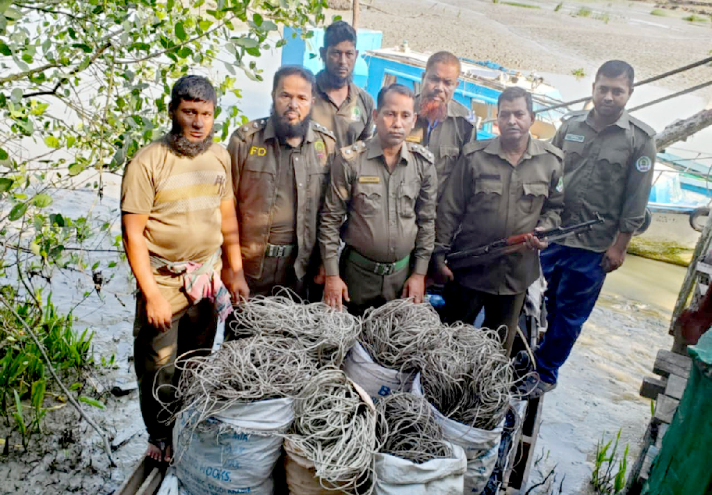 পূর্ব সুন্দরবনে হরিণ শিকারের ৬ বস্তা ফাঁদ ও ট্রলার জব্দ