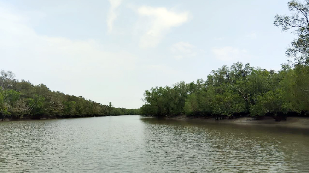 পূর্ব সুন্দরবনে এক মাসে ৭০ জেলে আটক, ফাঁদসহ ১৪৮টি ট্রলার জব্দ
