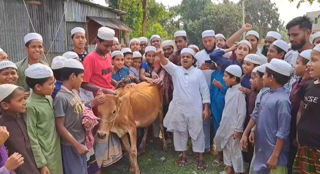 আ.লীগের কার্যক্রম নিষিদ্ধ: গরু জবাই করে খাওয়ালেন ‘শিশু বক্তা’