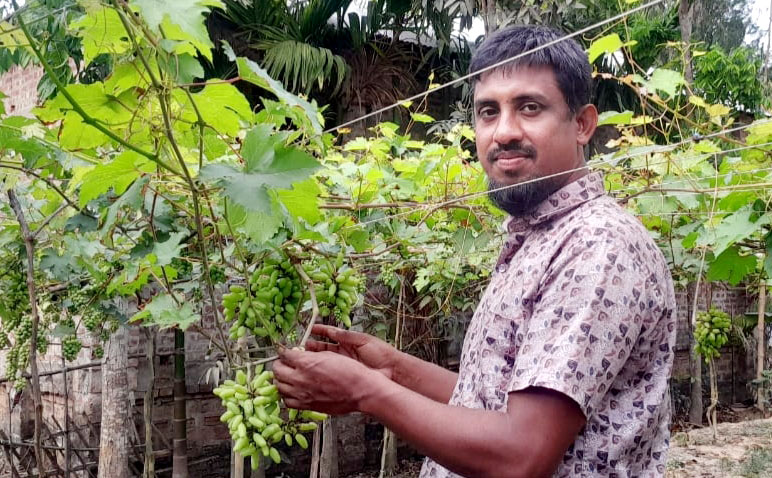 চাকরির পেছনে না ছুটে মাটির টানে সফল কৃষক মাসুদ