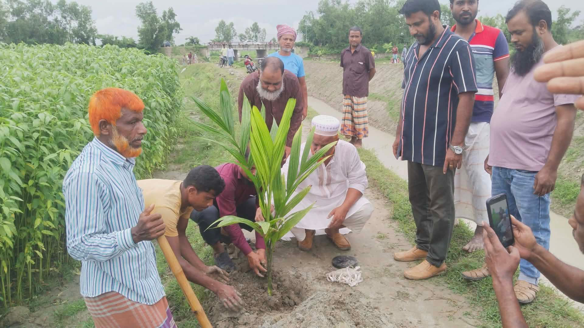পীরগঞ্জে পুণ্য খালের দুই তীরে ৭ হাজার গাছের চারা রোপণ শুরু