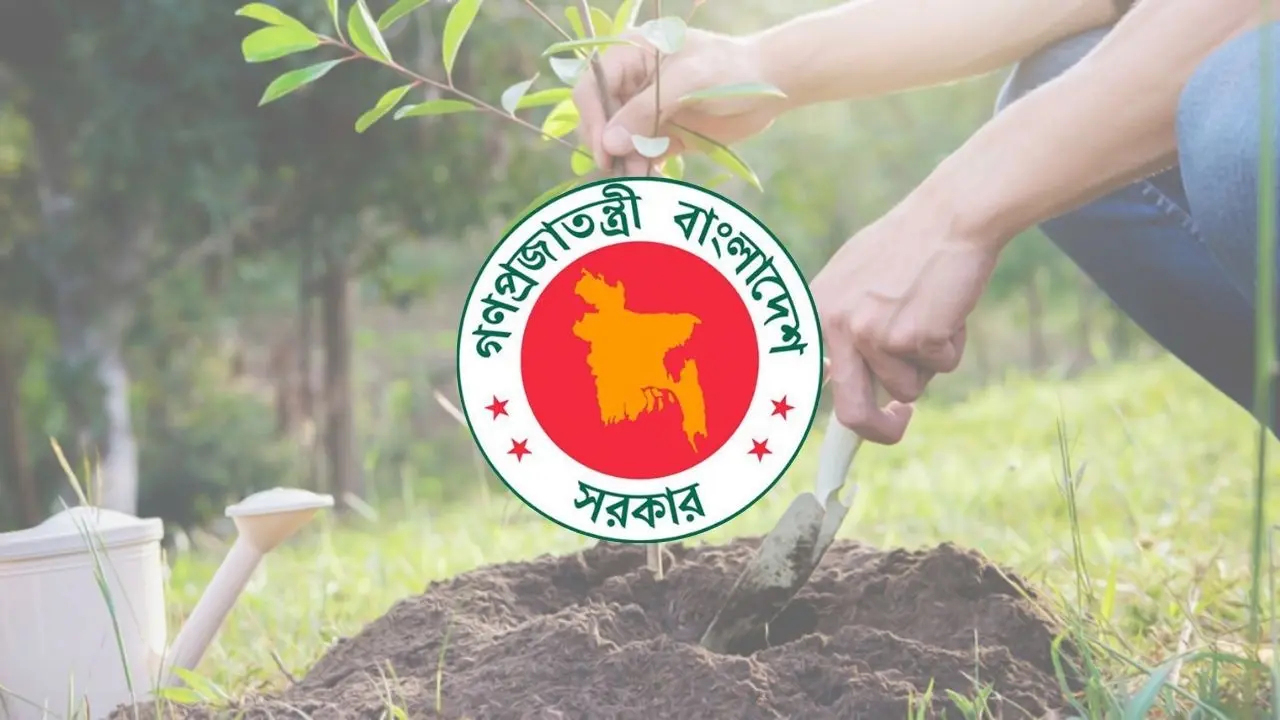 দেশের প্রতিটি প্রাথমিক বিদ্যালয়ে রোপণ করা হবে তিনটি গাছের চারা