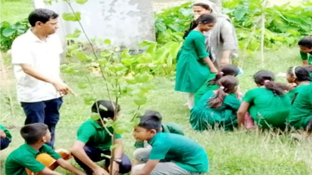বৃক্ষরোপণ কর্মসূচি: পিরোজপুরে চারা গাছের বদলে ডাল রোপণ, প্রধান শিক্ষক সাময়িক বরখাস্ত