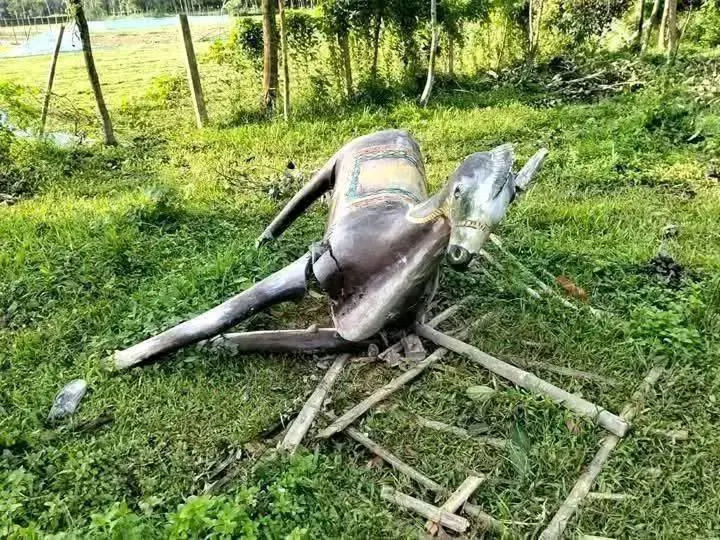 পার্কের ঘোড়া ভেঙে ফেলল বন্য হাতি
