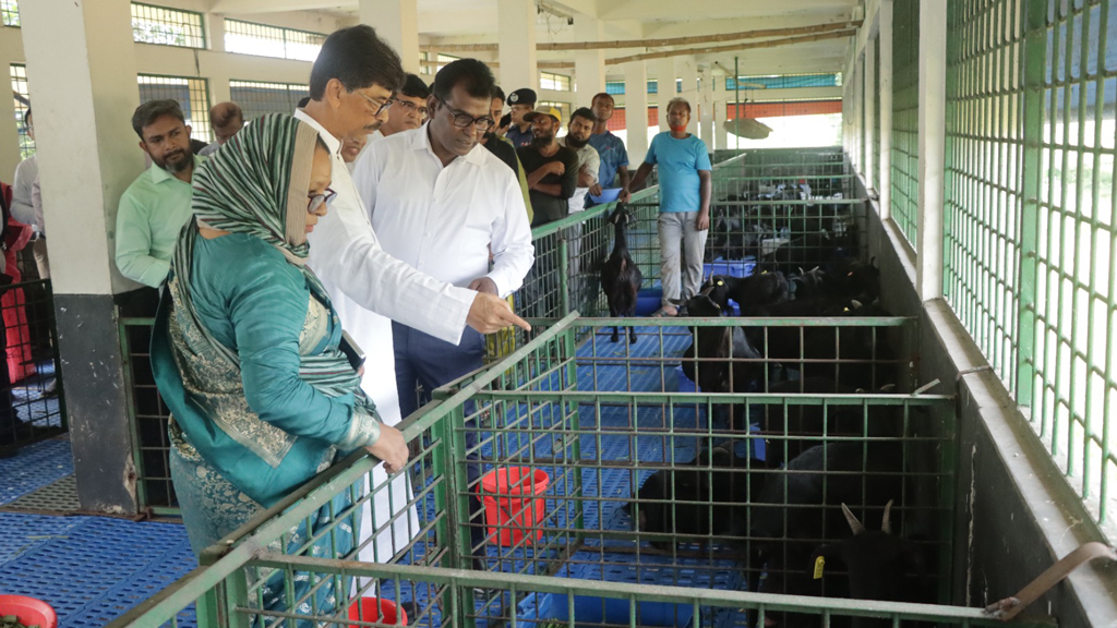 প্রাণিসম্পদ গবেষণায় কার্পণ্য করবে না সরকার: মন্ত্রী রশিদ