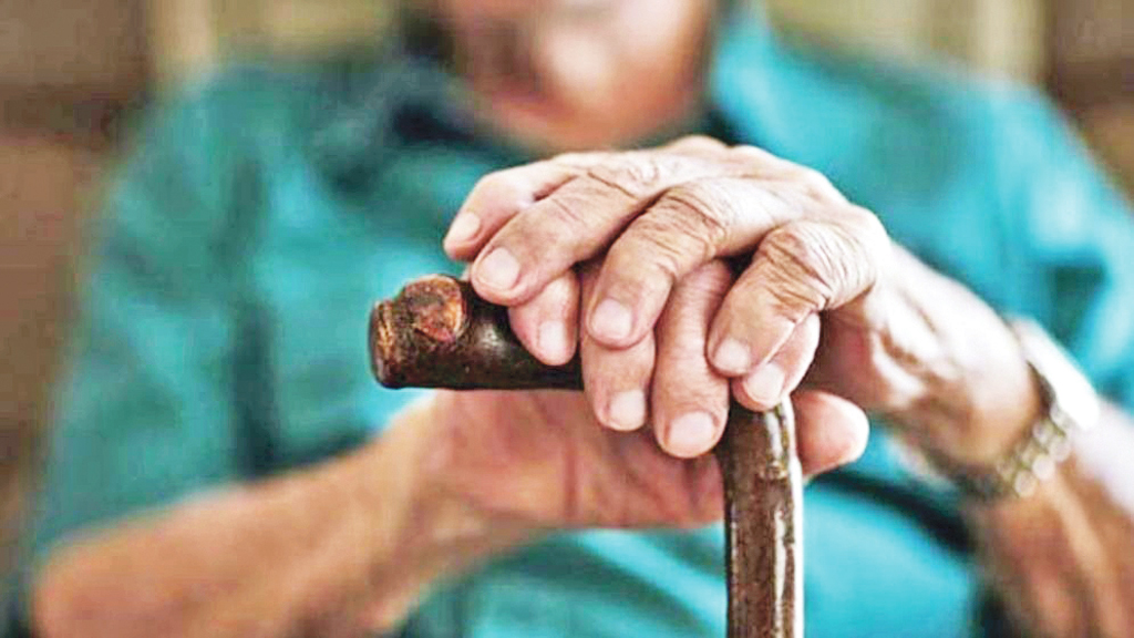 প্রবীণেরাও অর্থনীতির চাকা