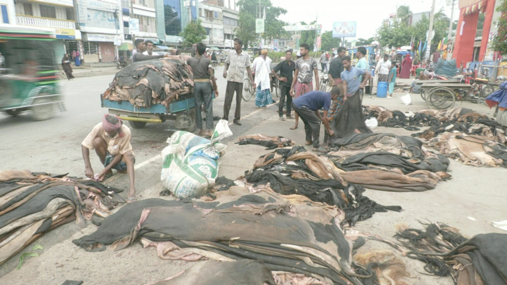 কোরবানির পশুর চামড়ার ন‍্যায‍্যমূল‍্য নিশ্চিতে কমিটি গঠনের নির্দেশ প্রধান উপদেষ্টার