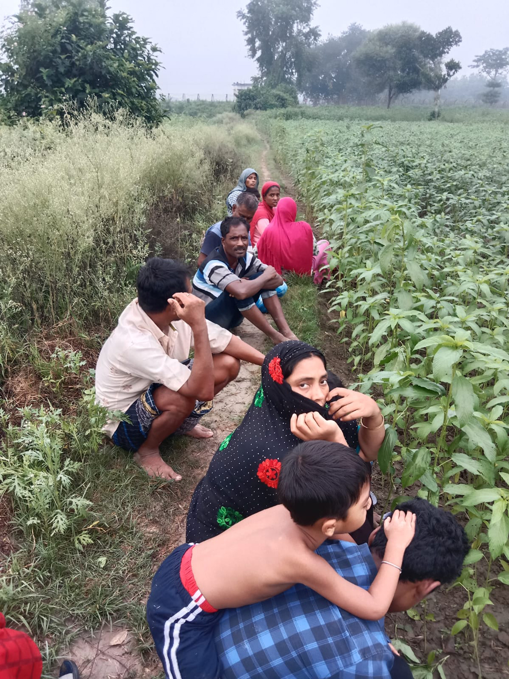 দুই নবজাতকসহ ১২ জনকে পুশইনের চেষ্টা, পতাকা বৈঠকেও গড়িমসি বিএসএফের