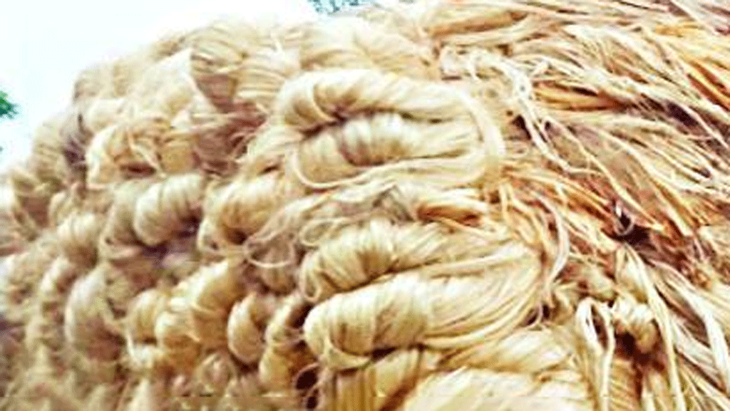 সমস্যা বাড়ছে পাটপণ্য রপ্তানিতে