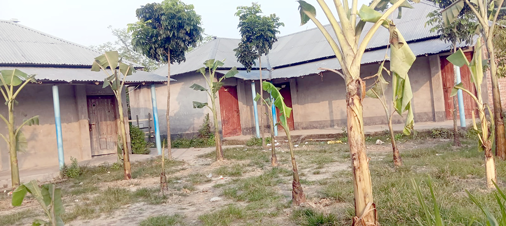 ছেলে-পুত্রবধূকে চাকরি না দেওয়ায় স্কুলের মাঠে কলাগাছ লাগালেন জমিদাতা