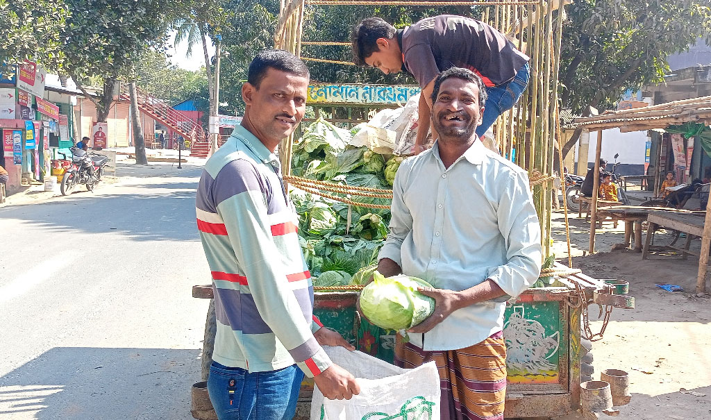 গাংনীতে ১২০ টাকায় ৩০ পাতা কপি, গরু-ছাগলের খাবার হিসেবে বিক্রি