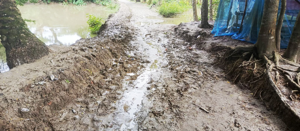 কলাপাড়ায় কাঁচা সড়কে পথচারীদের দুর্ভোগ