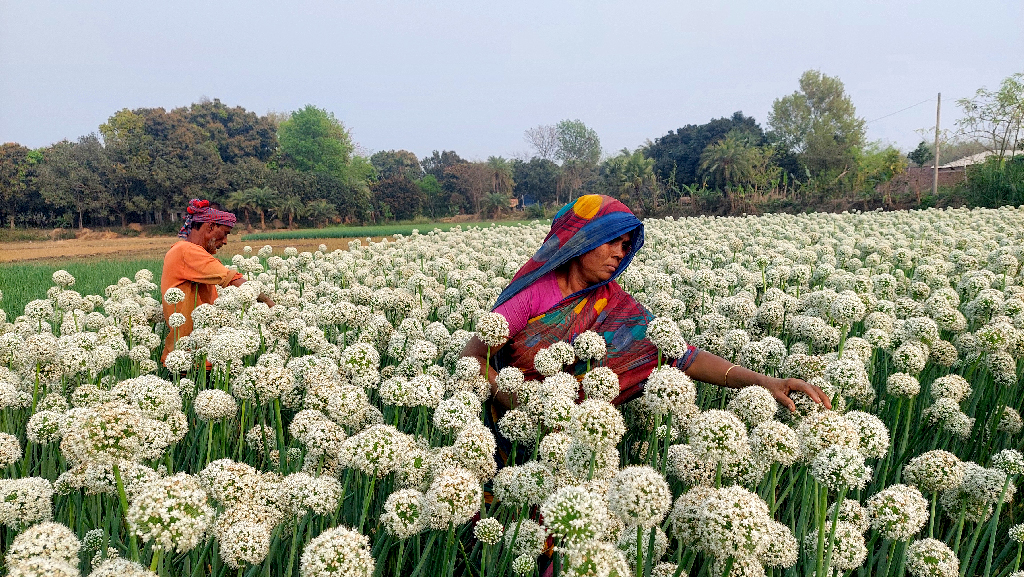 দিনের ছবি (২৮ এপ্রিল, ২০২৬)