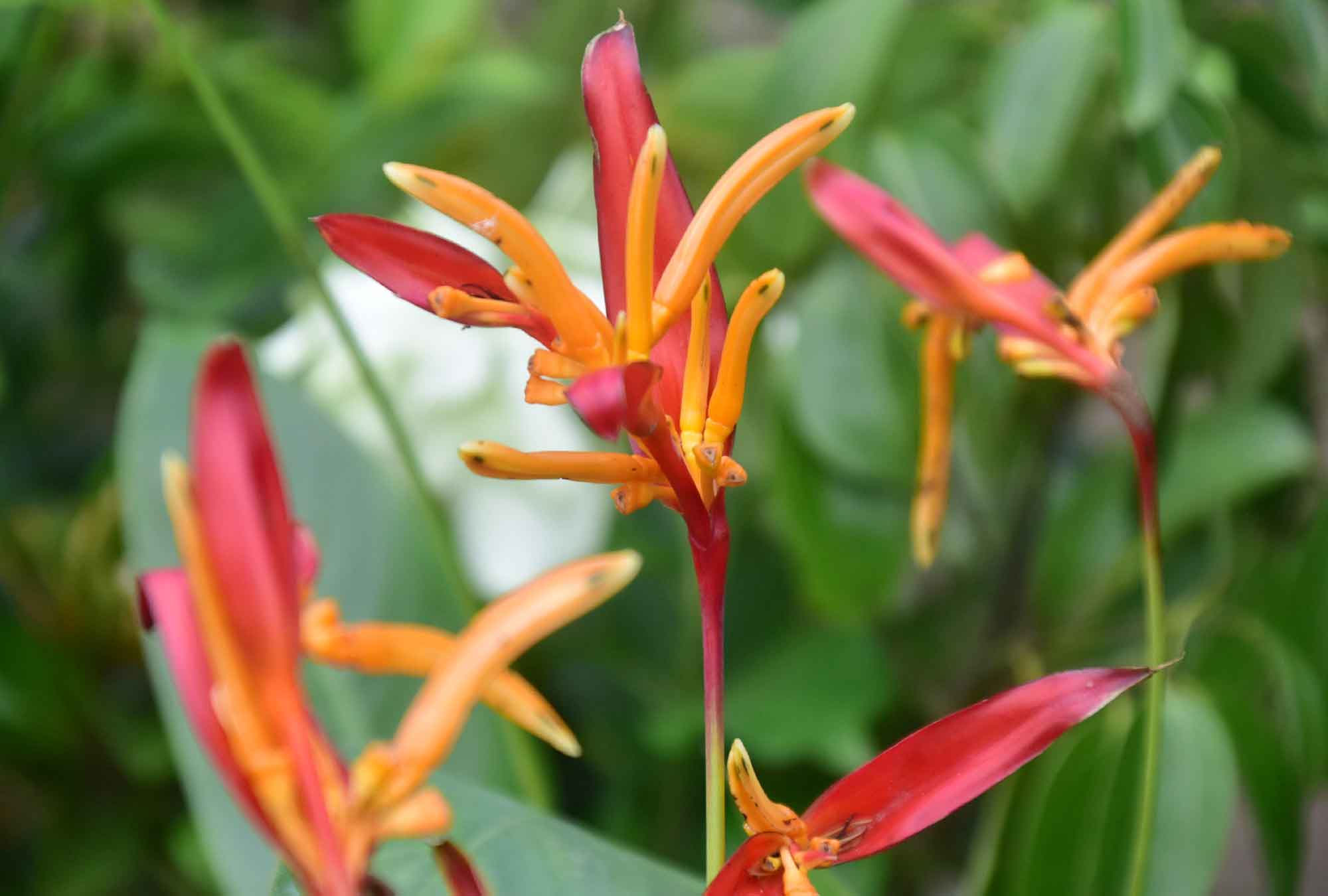 দিনের ছবি (২১ আগস্ট, ২০২৫)