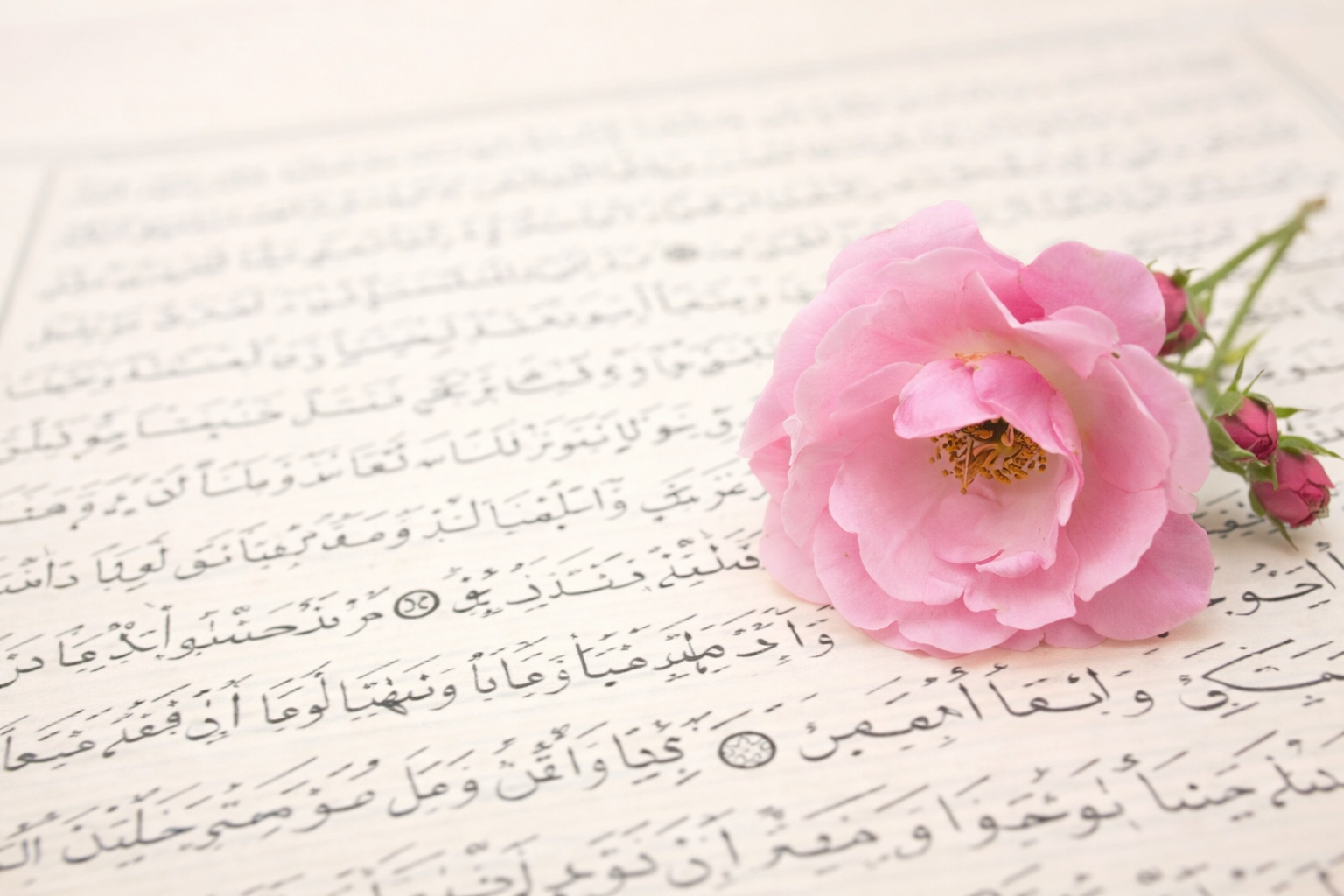 জান্নাতে যেমন হবে শহীদের জীবন