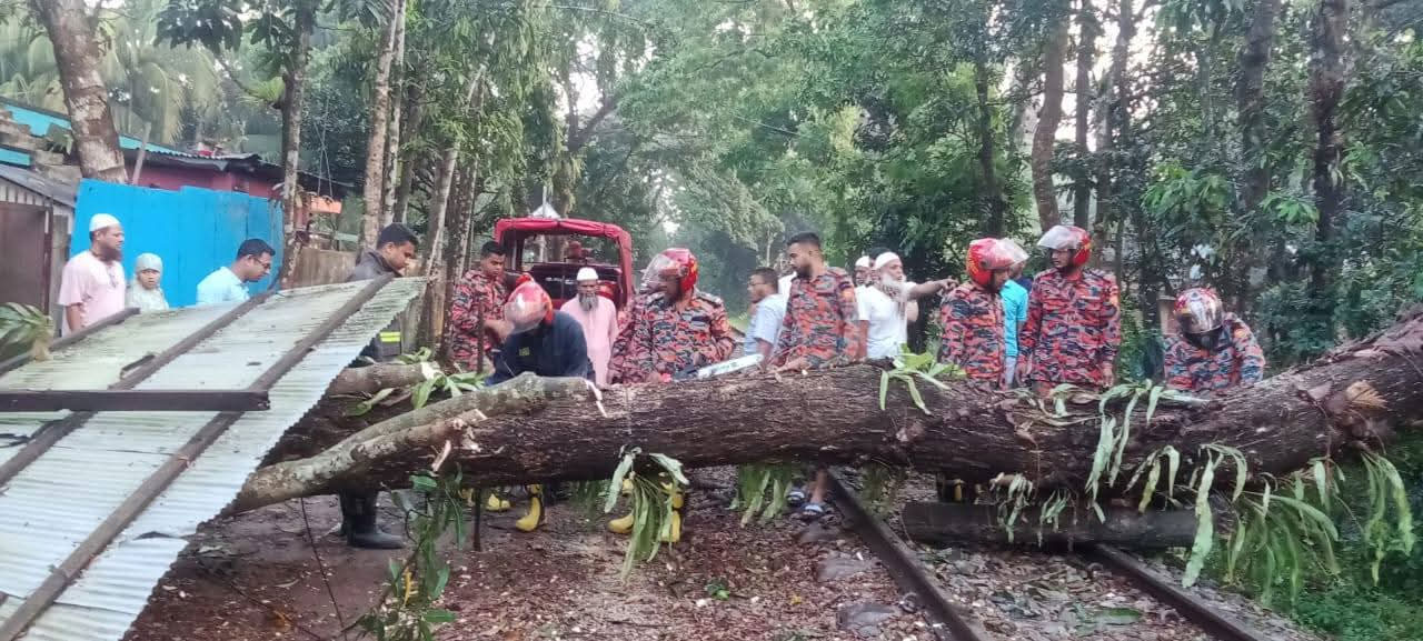 ঝড়ে রেললাইনের ওপর গাছ, নির্দিষ্ট সময়ের ২ ঘণ্টা পর ছাড়ল ট্রেন