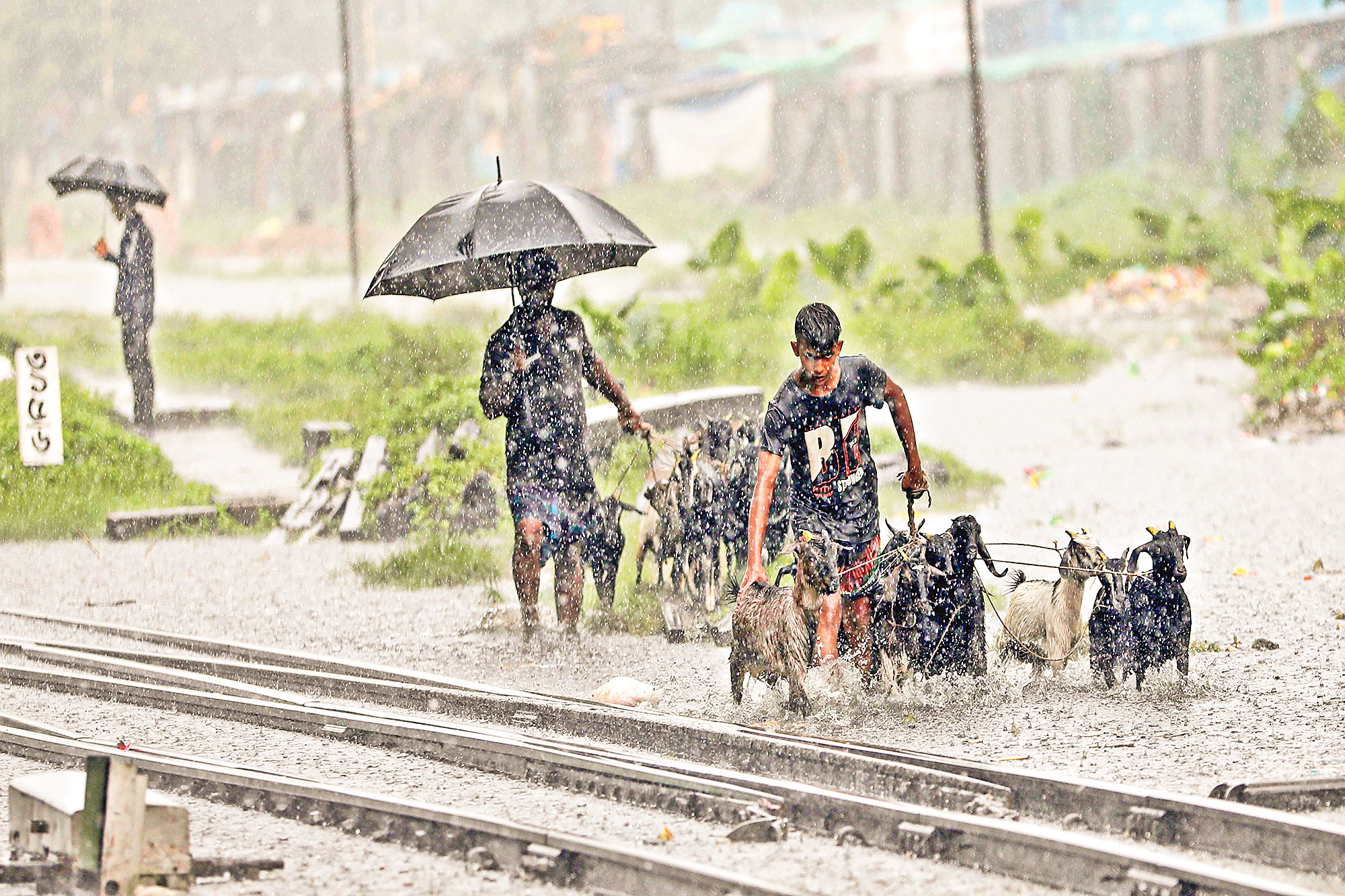 বৃষ্টির ধরন কি বদলে যাচ্ছে