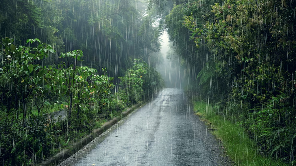 বৃষ্টিতে ভিজে ফরজ গোসল করা যাবে কি