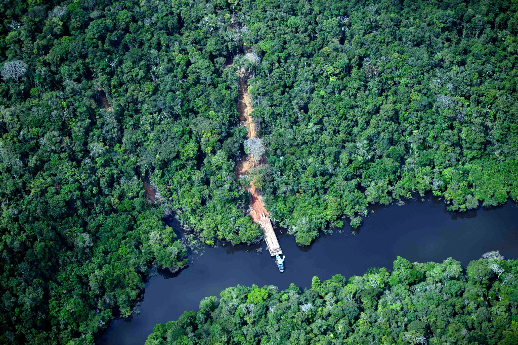 শোষণের বদলে কার্বন ছড়াচ্ছে আফ্রিকার বনগুলো