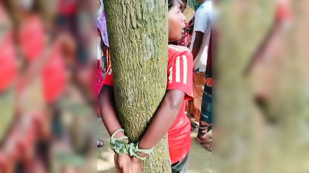 মোবাইল চুরির অভিযোগে কিশোরকে গাছে বেঁধে নির্যাতন, নখ তুলে ফেলার হুমকি