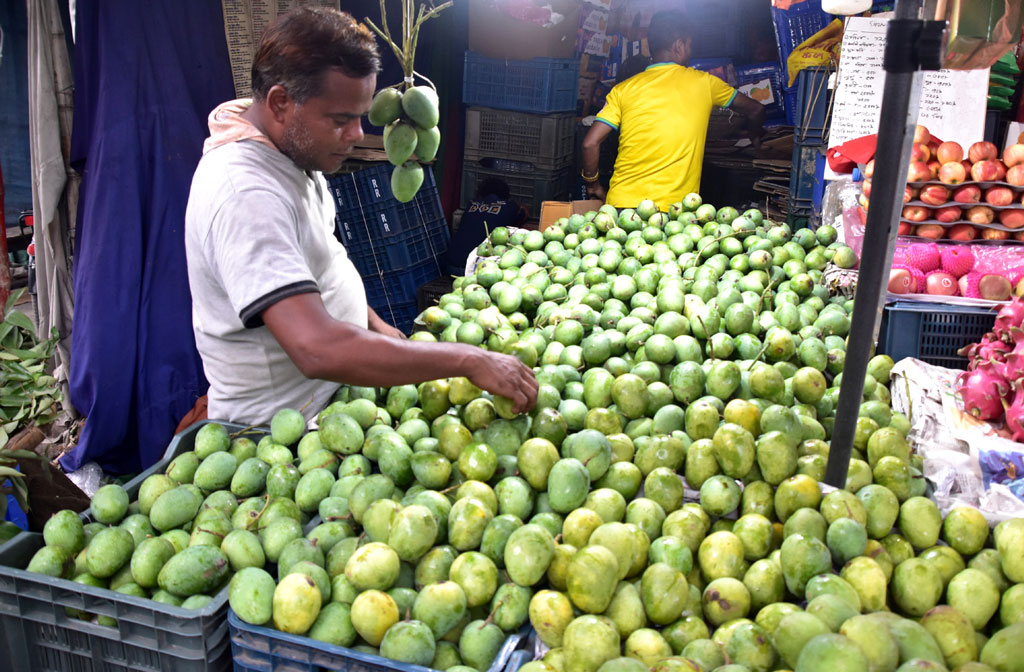 দিনের ছবি (২০ মে,২০২৫)