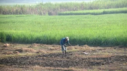 দিনের ছবি (২৮ অক্টোবর, ২০২৬)