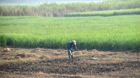 দিনের ছবি (২৮ অক্টোবর, ২০২৬)