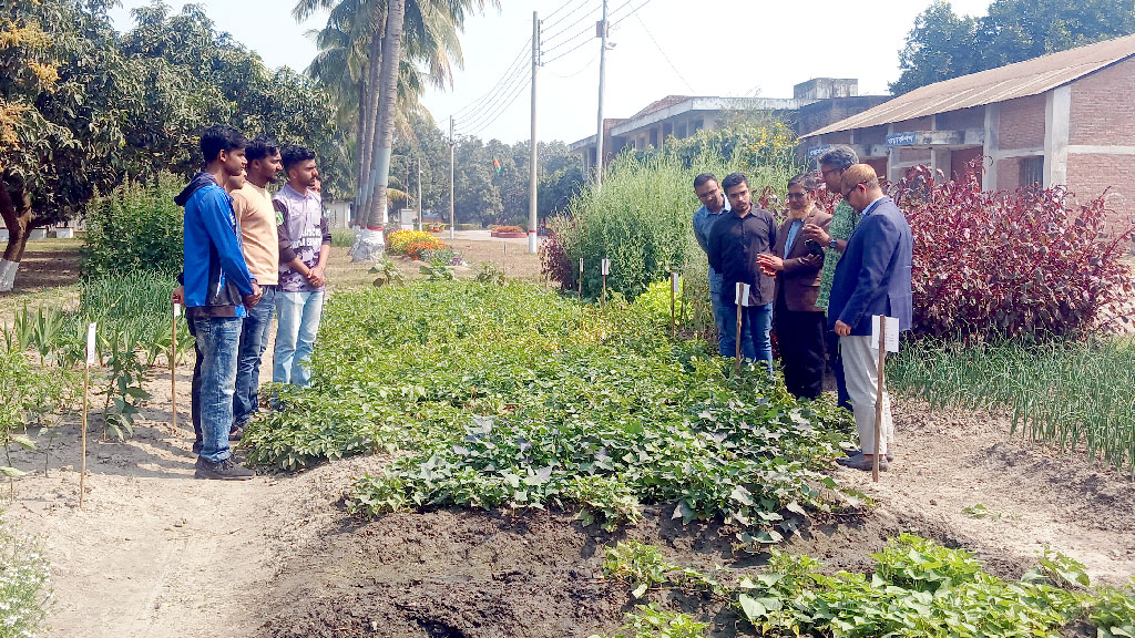 ‘শস্য মিউজিয়ামে’ আগ্রহ বাড়ছে কৃষক ও শিক্ষার্থীদের
