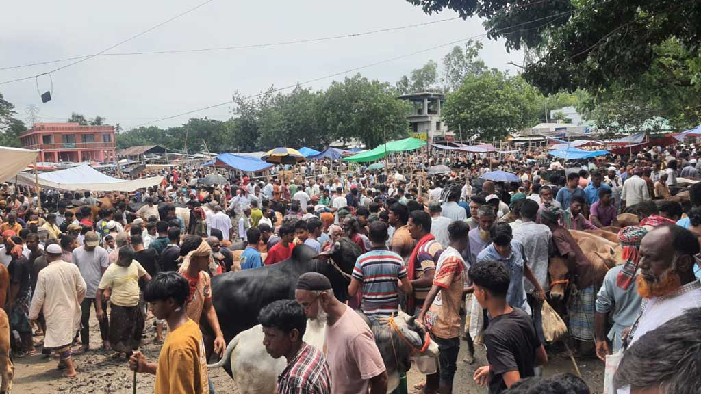 রাজশাহীর পশুর হাট: হাসিলে বাড়তি টাকা আদায়