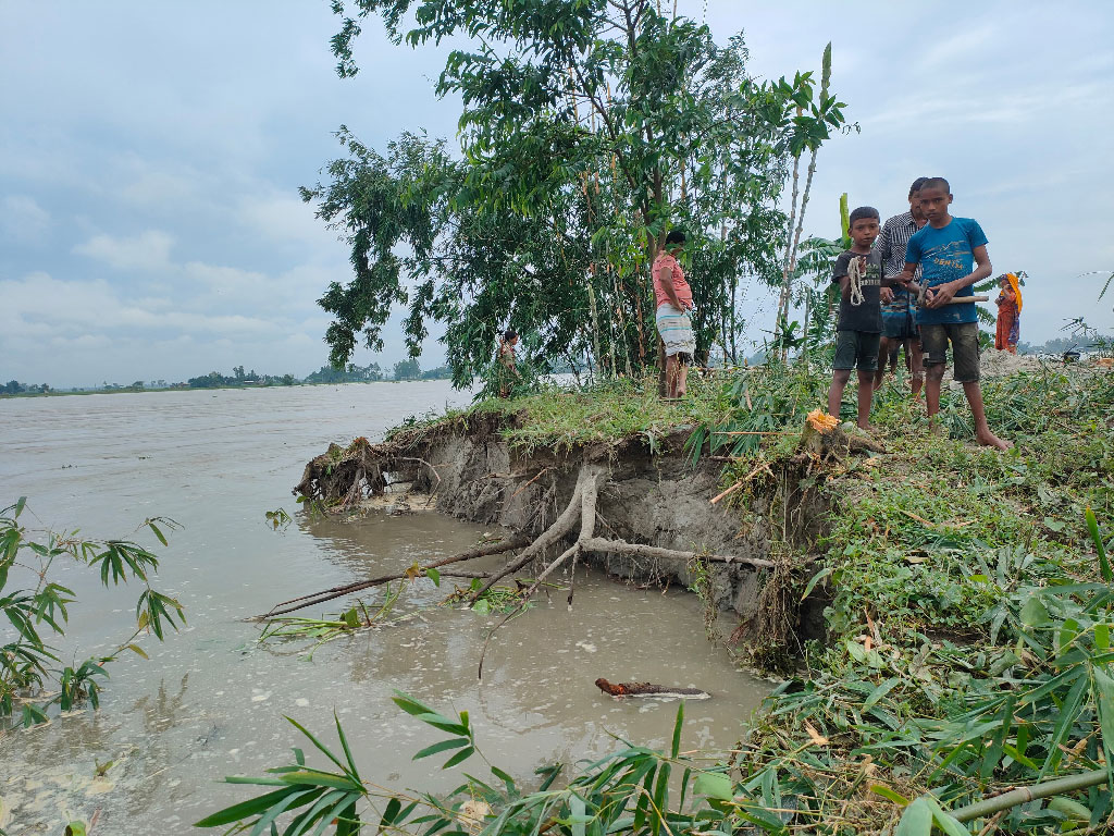 তিস্তা নদীর পানি বেড়ে যাওয়ায় ভাঙন তীব্র আকার ধারণ করেছে। ভাঙন আতঙ্কে ঘর ভেঙে অন্যত্র সরিয়ে নিচ্ছেন তীরবর্তী বাসিন্দারা। ছবি: আজকের পত্রিকা