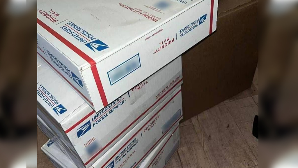 বৈশ্বিক ‘রেপ একাডেমির’ পর্দা ফাঁস, স্ত্রীকে ধর্ষণ শেখান স্বামীরা