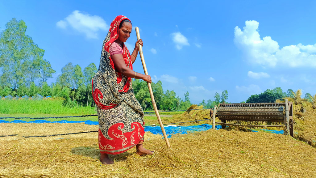 দিনের ছবি (২৬ নভেম্বর ২০২৪)