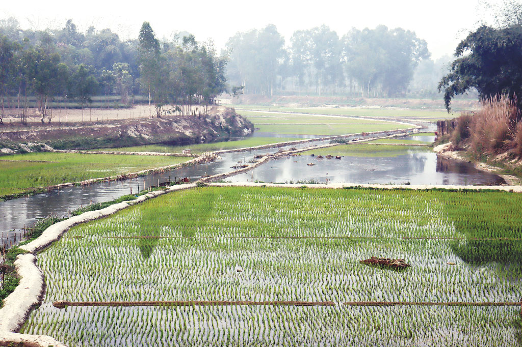 খনন নেই এক যুগেও তালমার বুকে ফসল