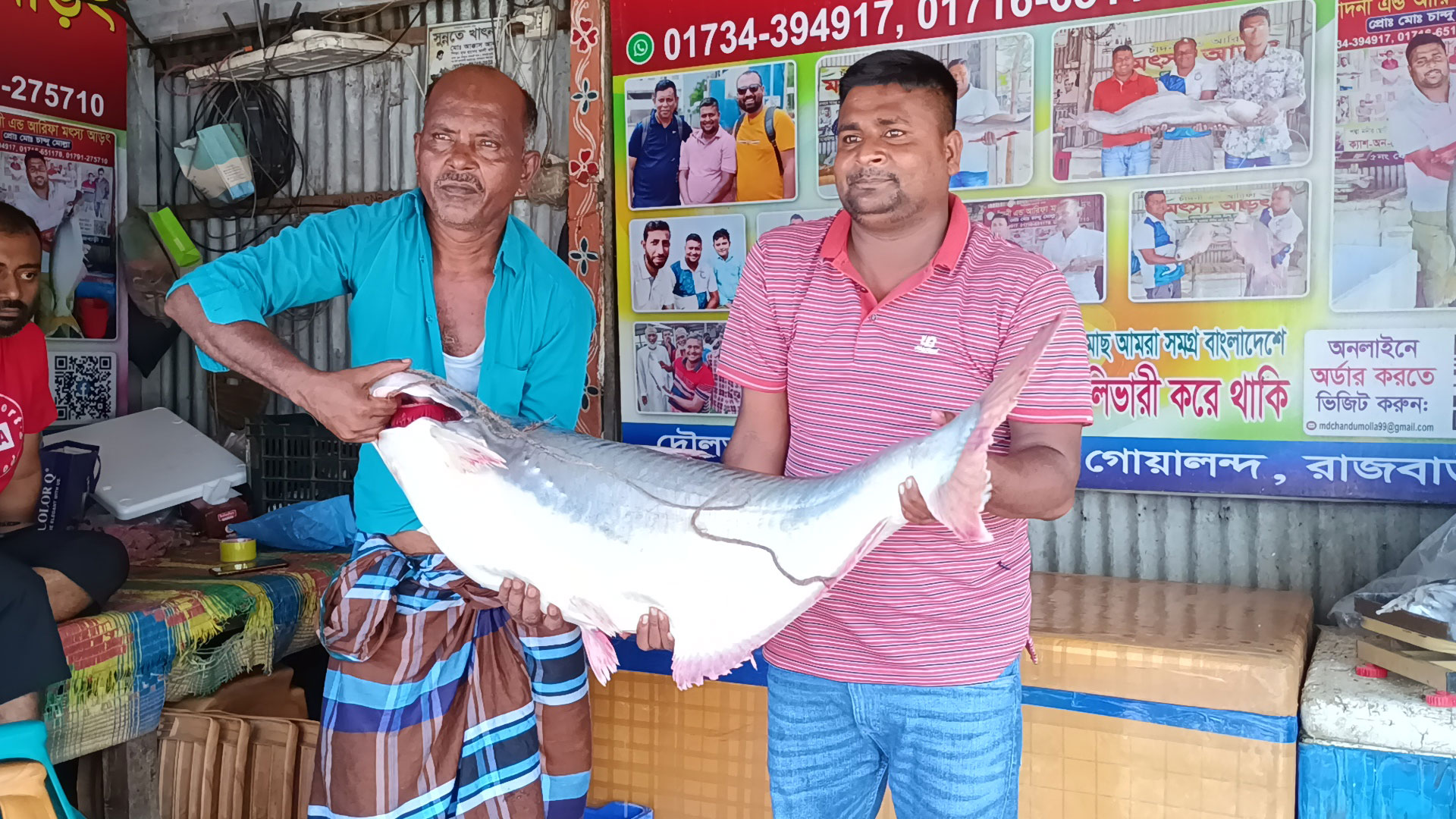 পদ্মায় ধরা পড়ল ১৯ কেজির পাঙাশ, বিক্রি ২৯ হাজার টাকায়