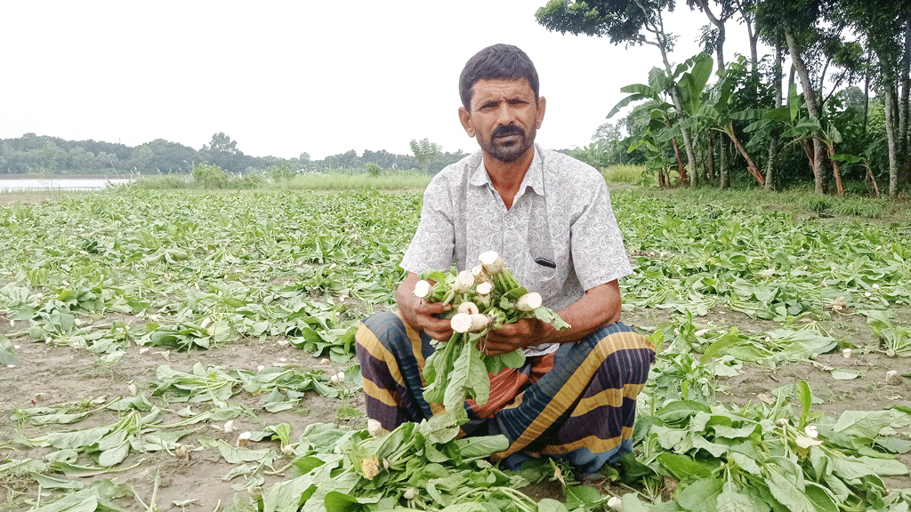 বালিয়াকান্দিতে হত্যা মামলা প্রত্যাহারে অস্বীকৃতি, ৫ লাখ টাকার ফসল কেটে বিনাশের অভিযোগ