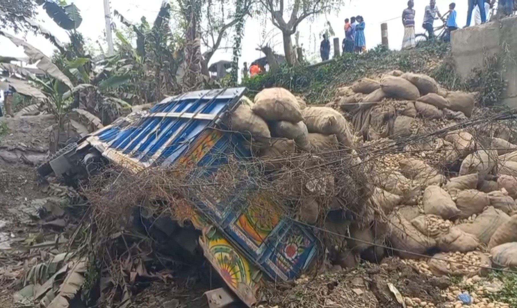 রাজবাড়ীতে আলুবোঝাই ট্রাক খাদে পড়ে চালক নিহত
